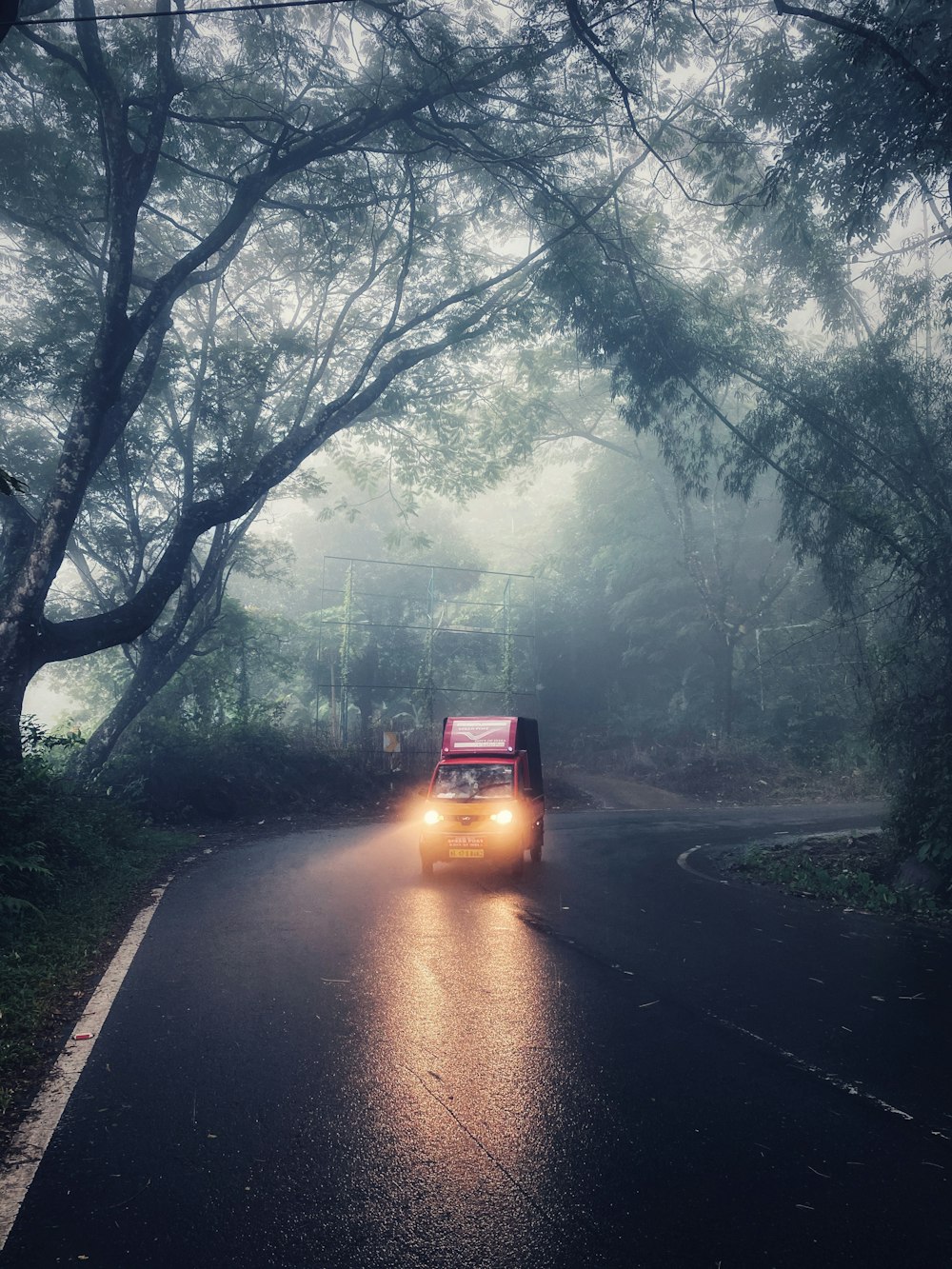 red car on road between trees during daytime