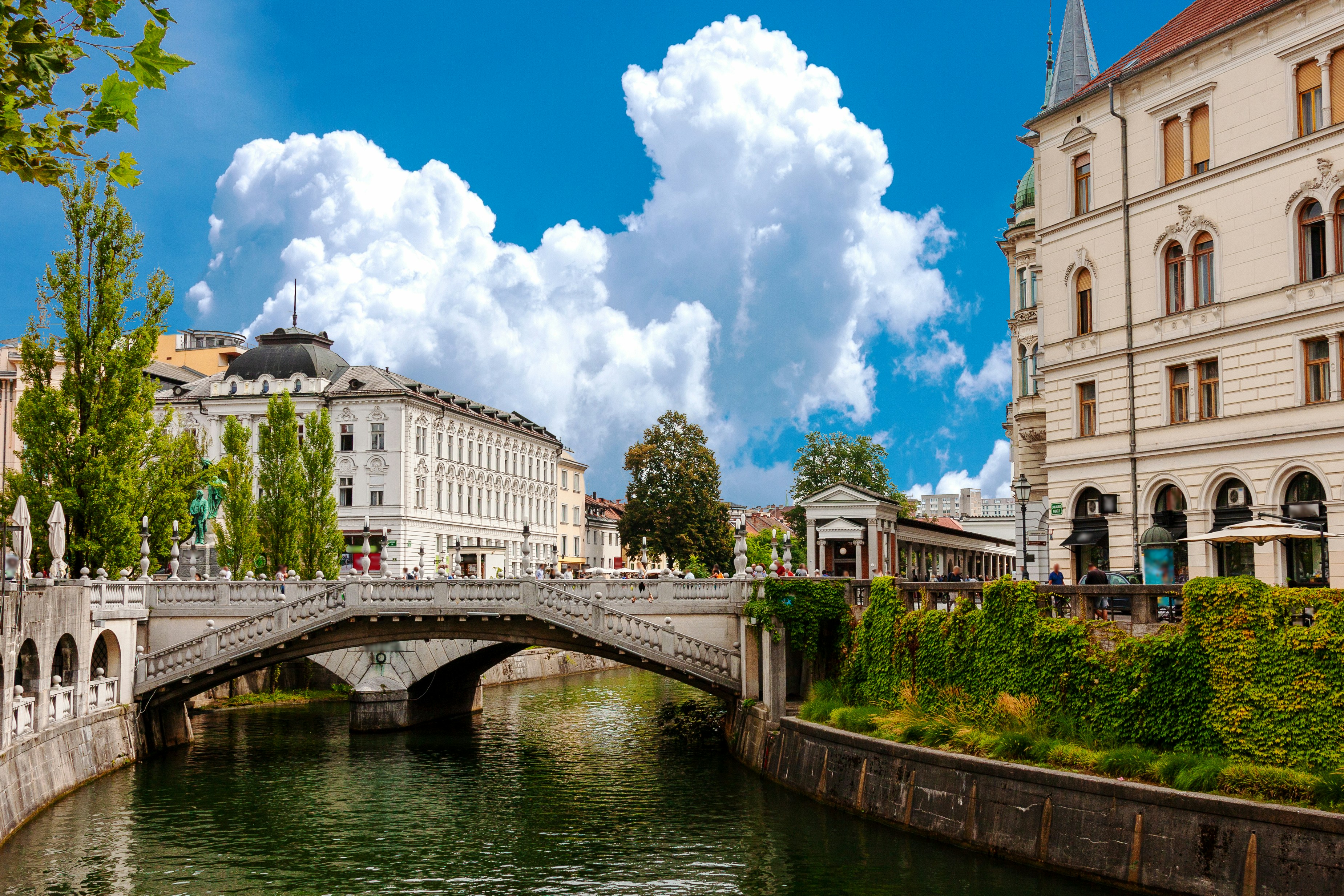 white concrete bridge over river, 