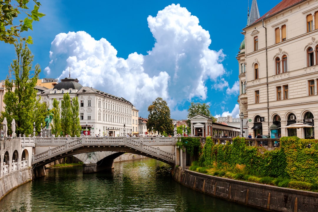 white concrete bridge over river,