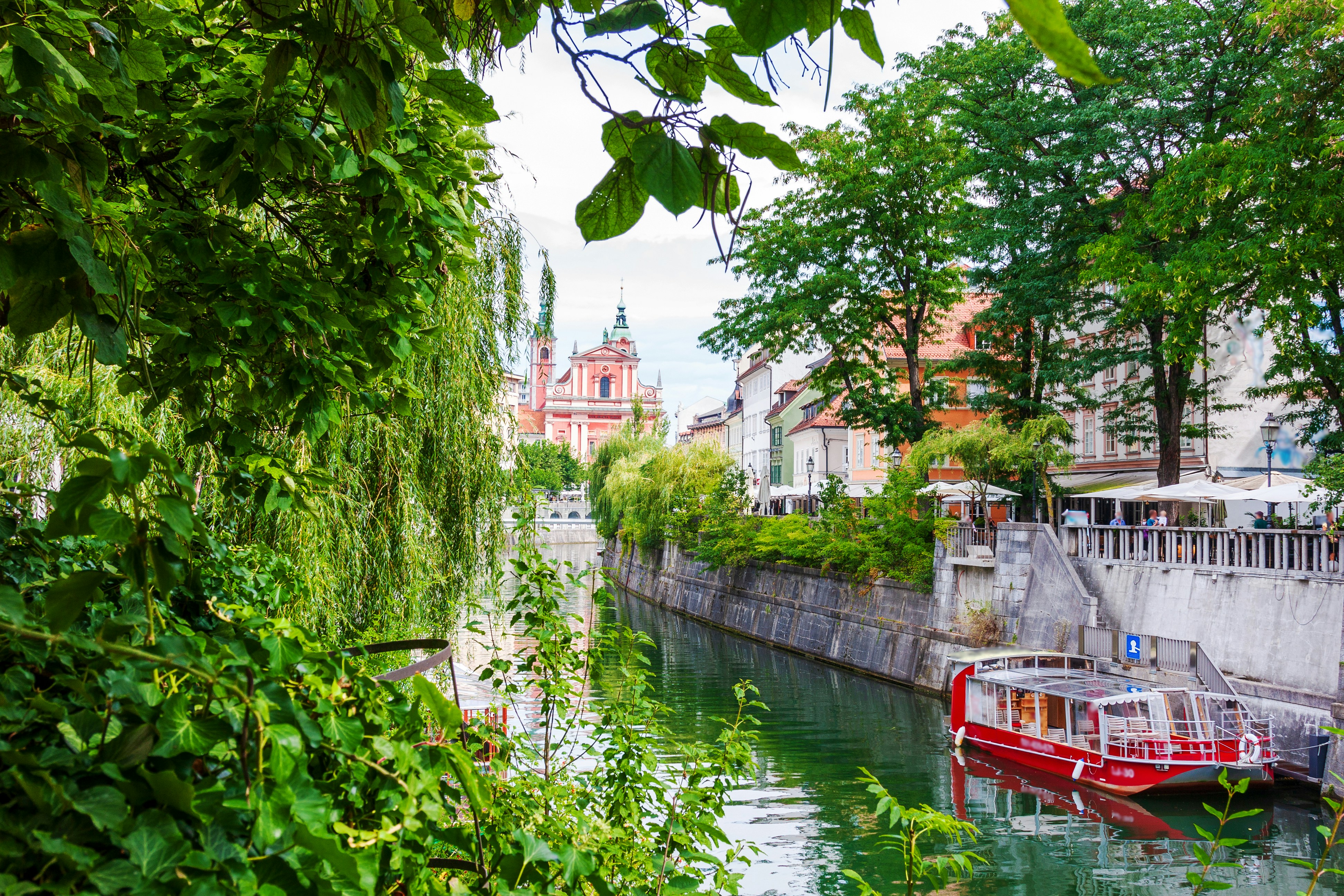 Photo by eugene_kuznetsov