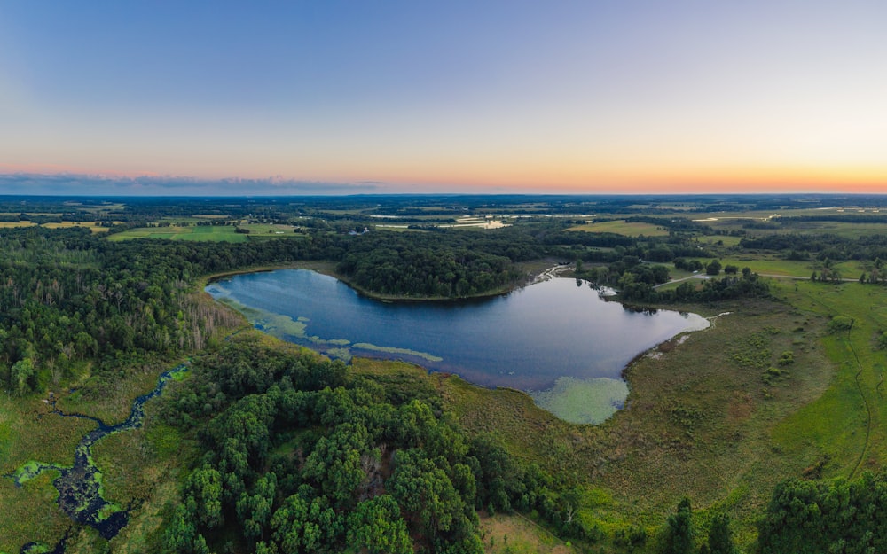 arbres verts près d’un plan d’eau bleu pendant la journée