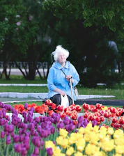 woman in blue jacket standing on flower field during daytime