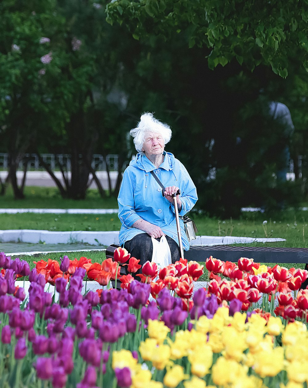 woman in blue jacket standing on flower field during daytime