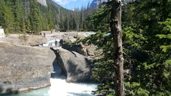 A picturesque scene featuring a flowing river cutting through large rock formations surrounded by a dense forest of evergreen trees. Several individuals are walking and exploring the rocky terrain, while the backdrop showcases a clear blue sky and distant mountains.