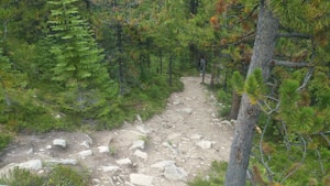 Trail Montaña 15K