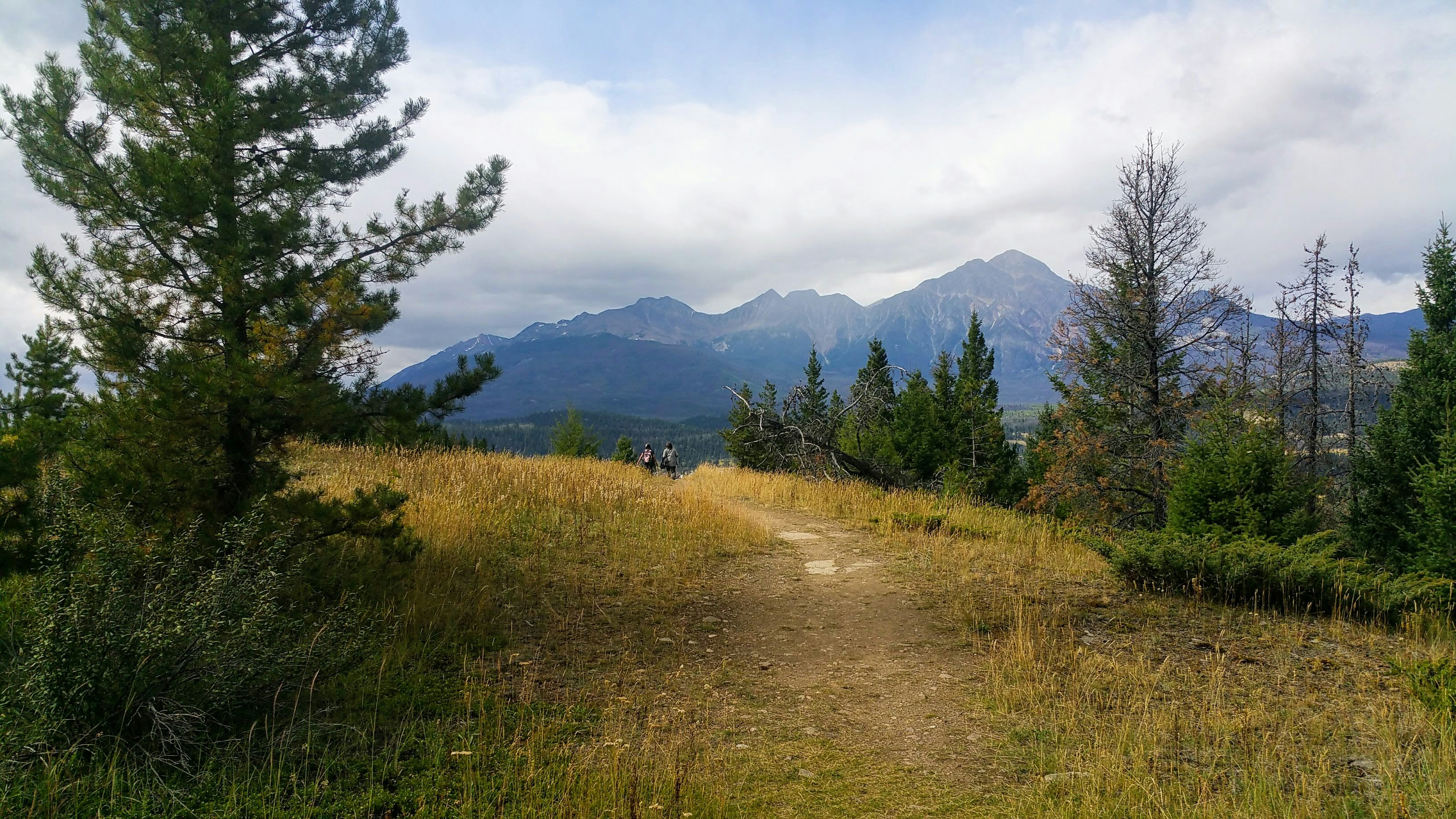 Photo by rohitdsilva