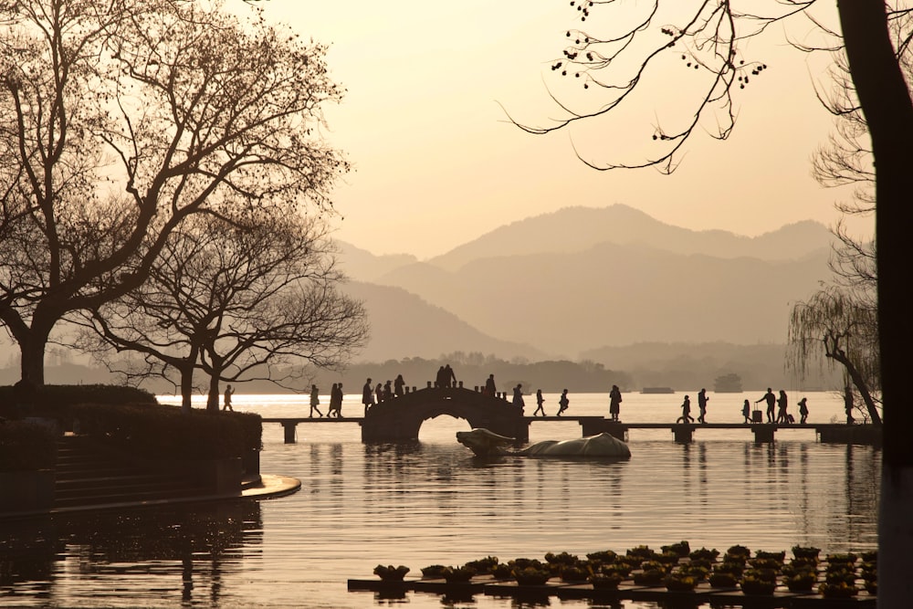 people on park near body of water during daytime