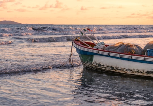 brown and white boat on body of water during daytime in Sanya China