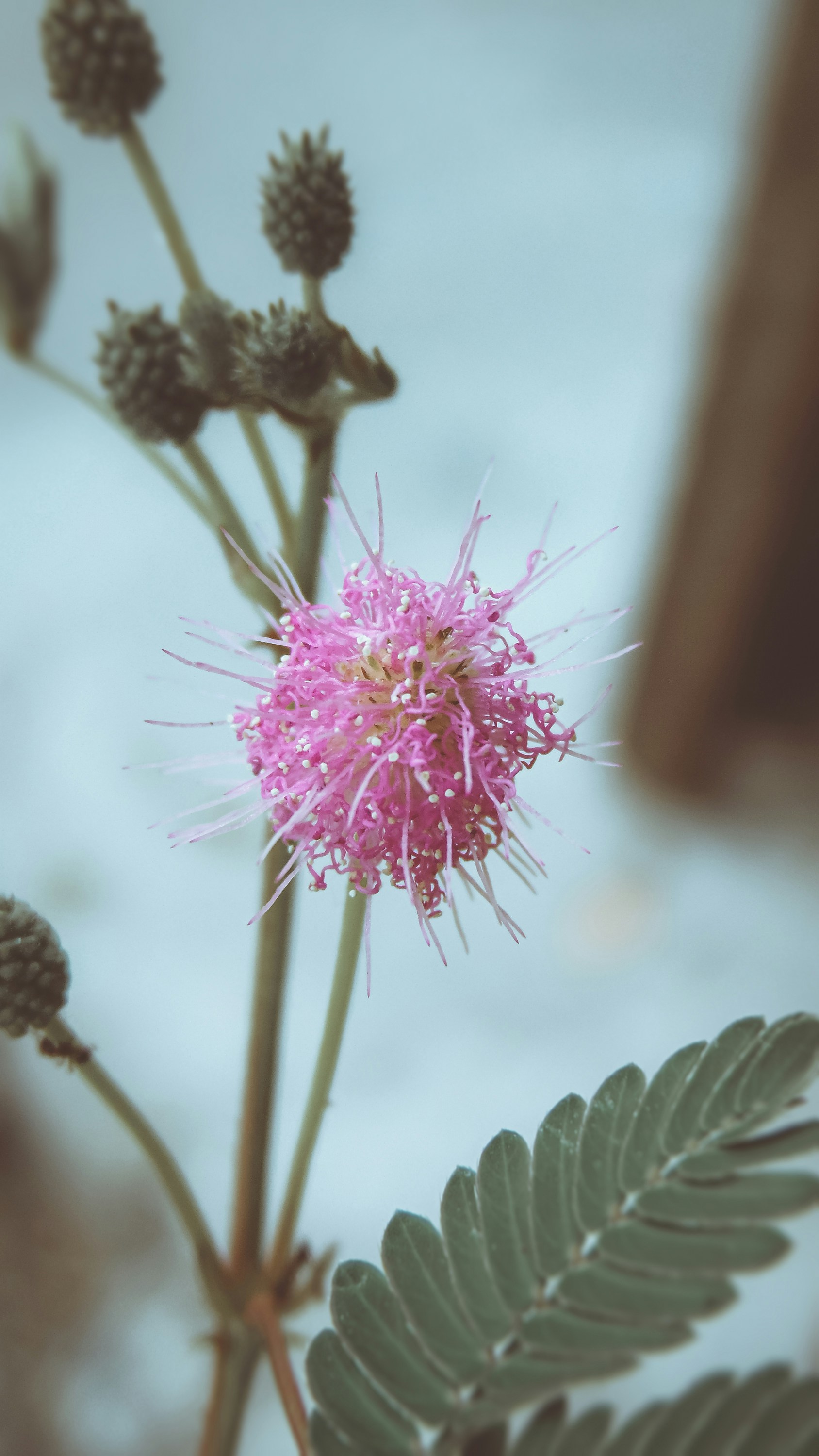 Photo by lucasvphotos