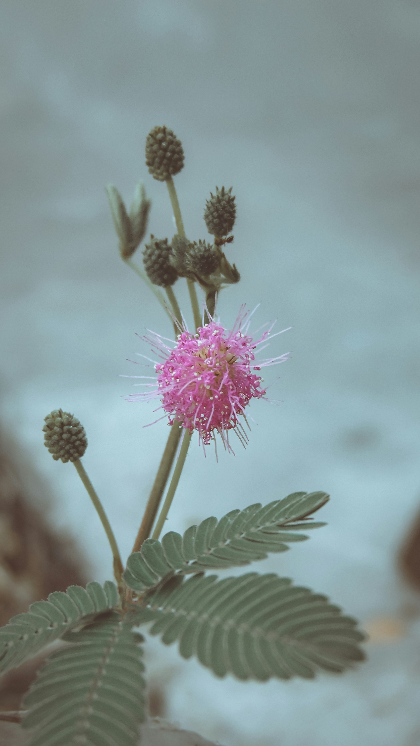 Photo by lucasvphotos