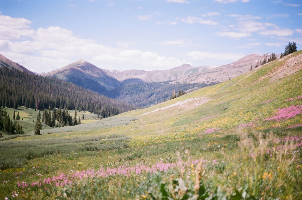 green grass field near mountain under blue sky during daytime