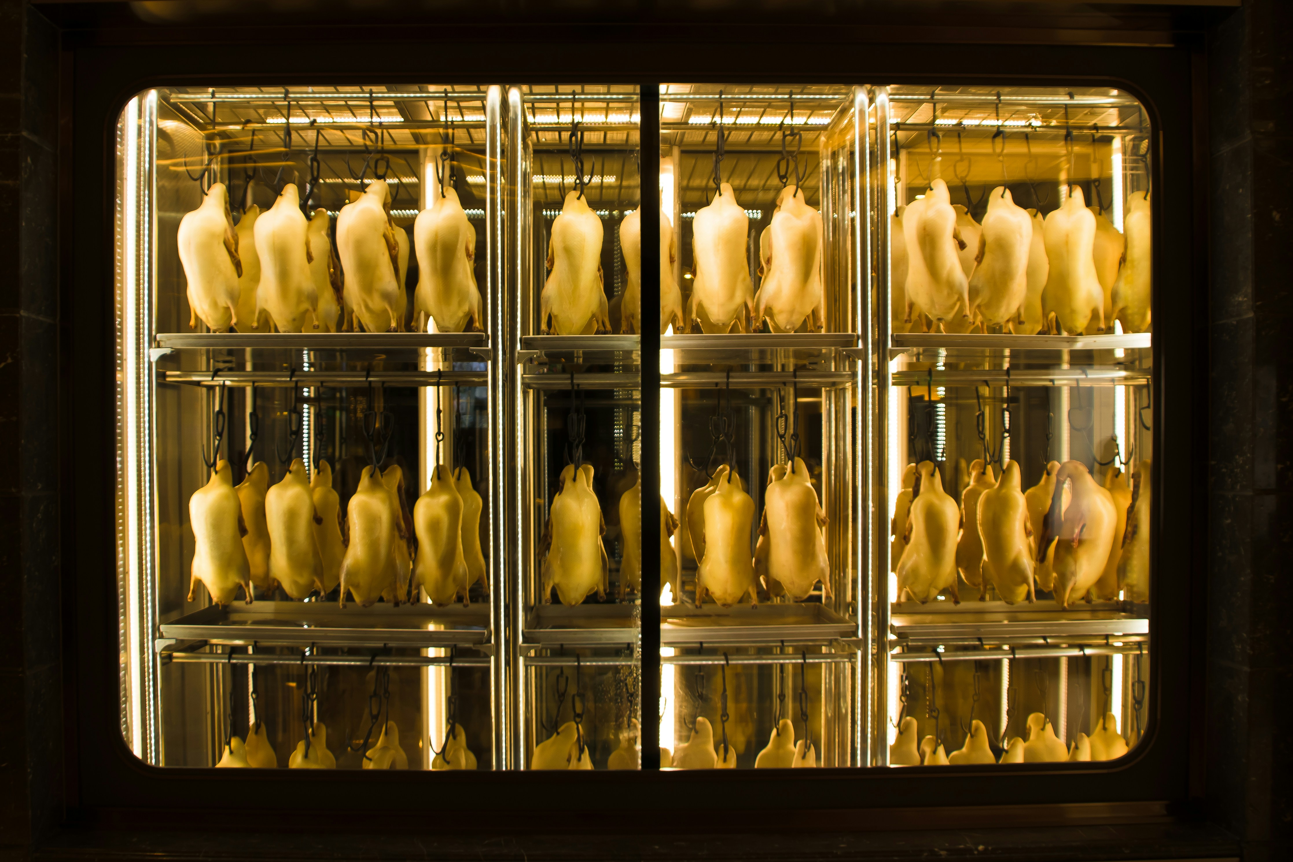 Sliced chicken arranged on dehydrator trays