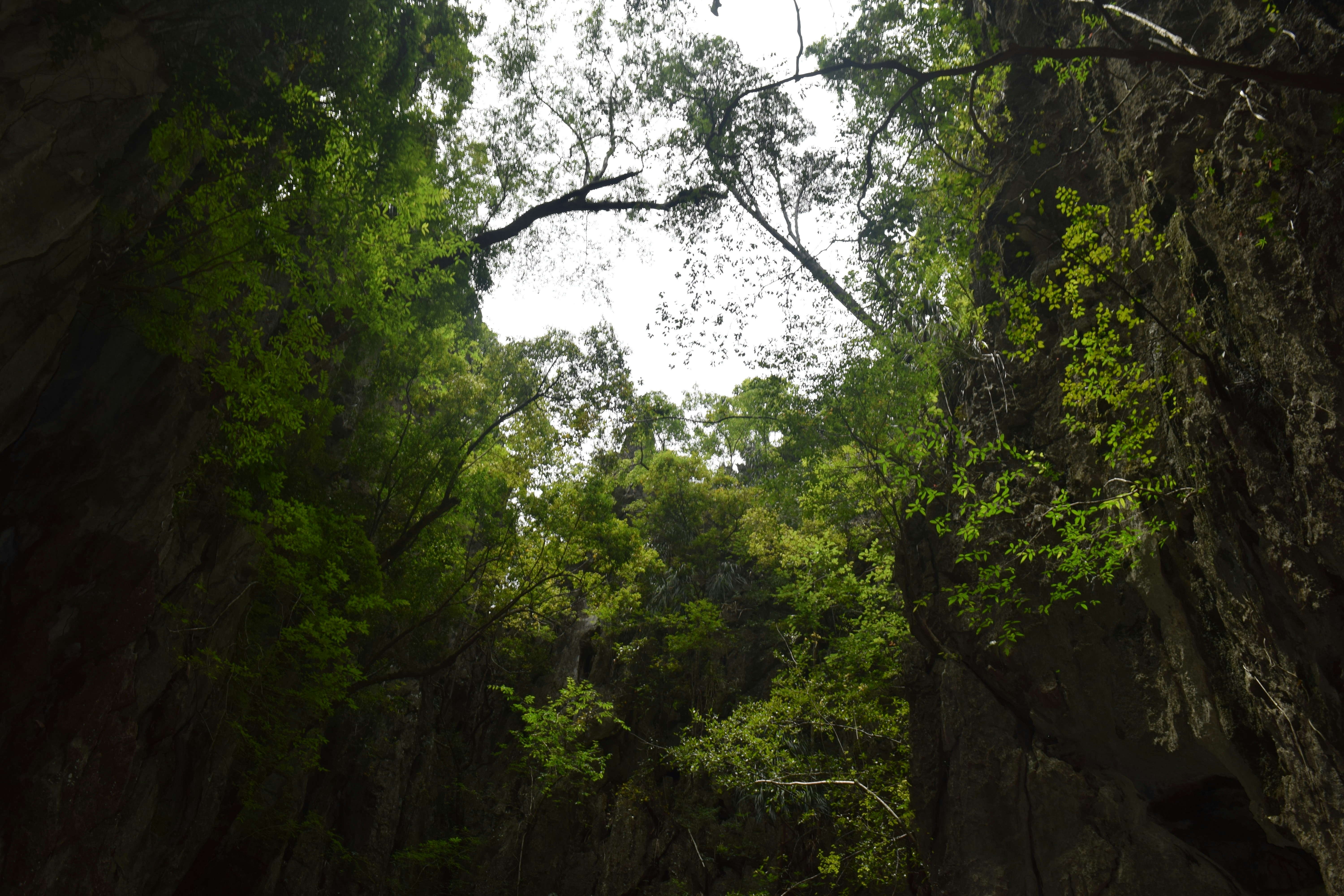 Photo by wallpapersforlife