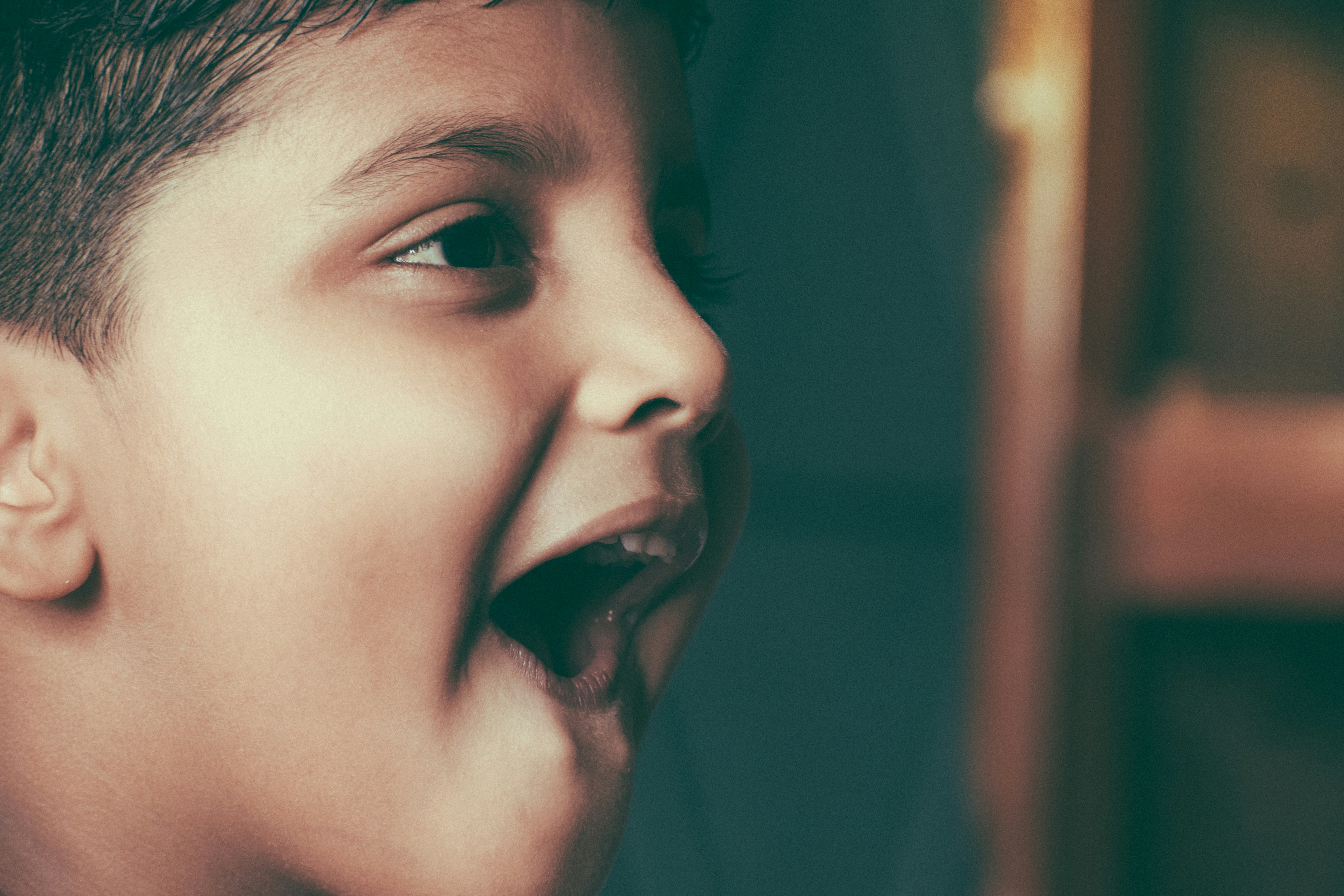 Photo by shomitro_kumar