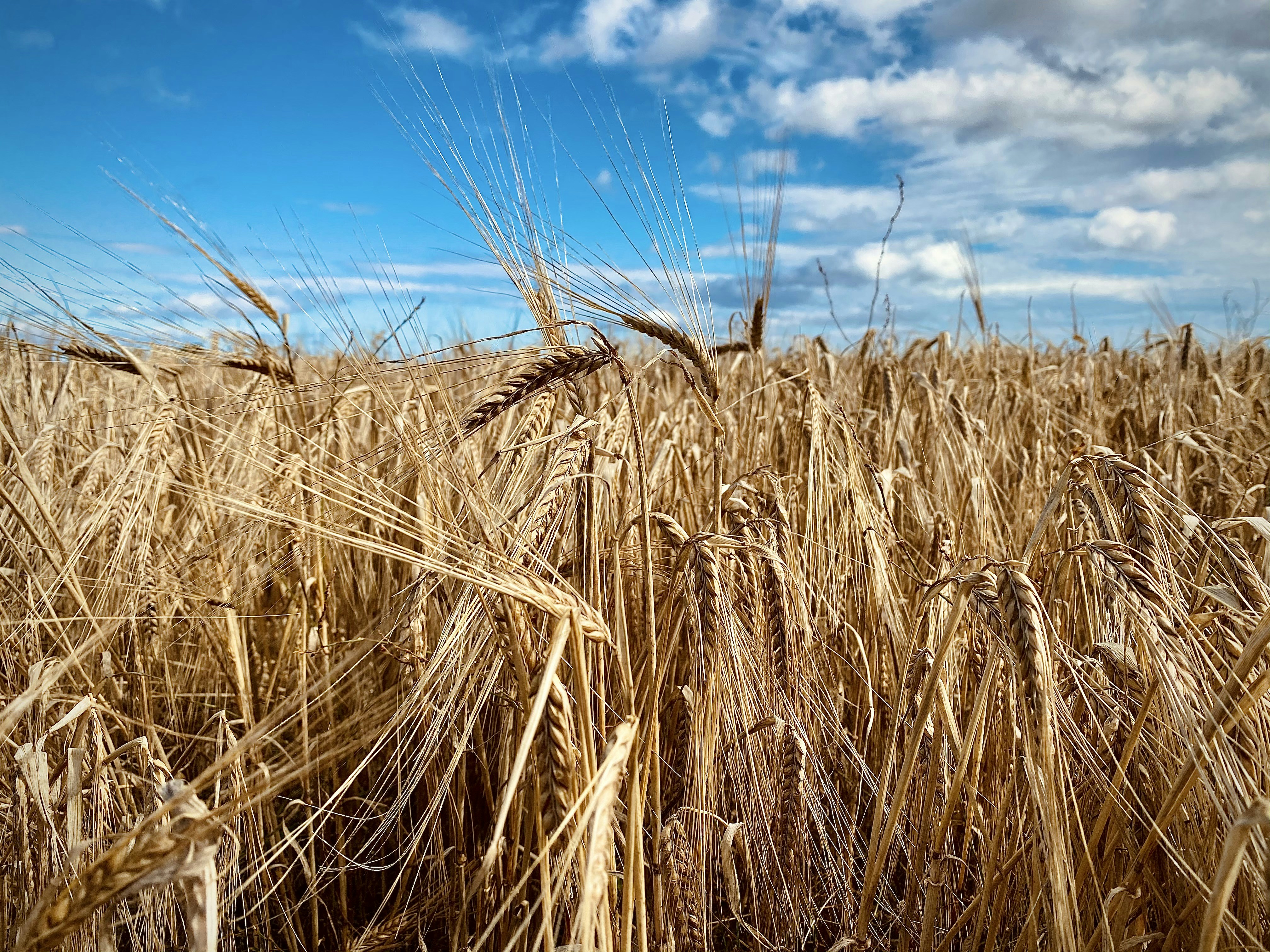 Photo by kyle_richards98