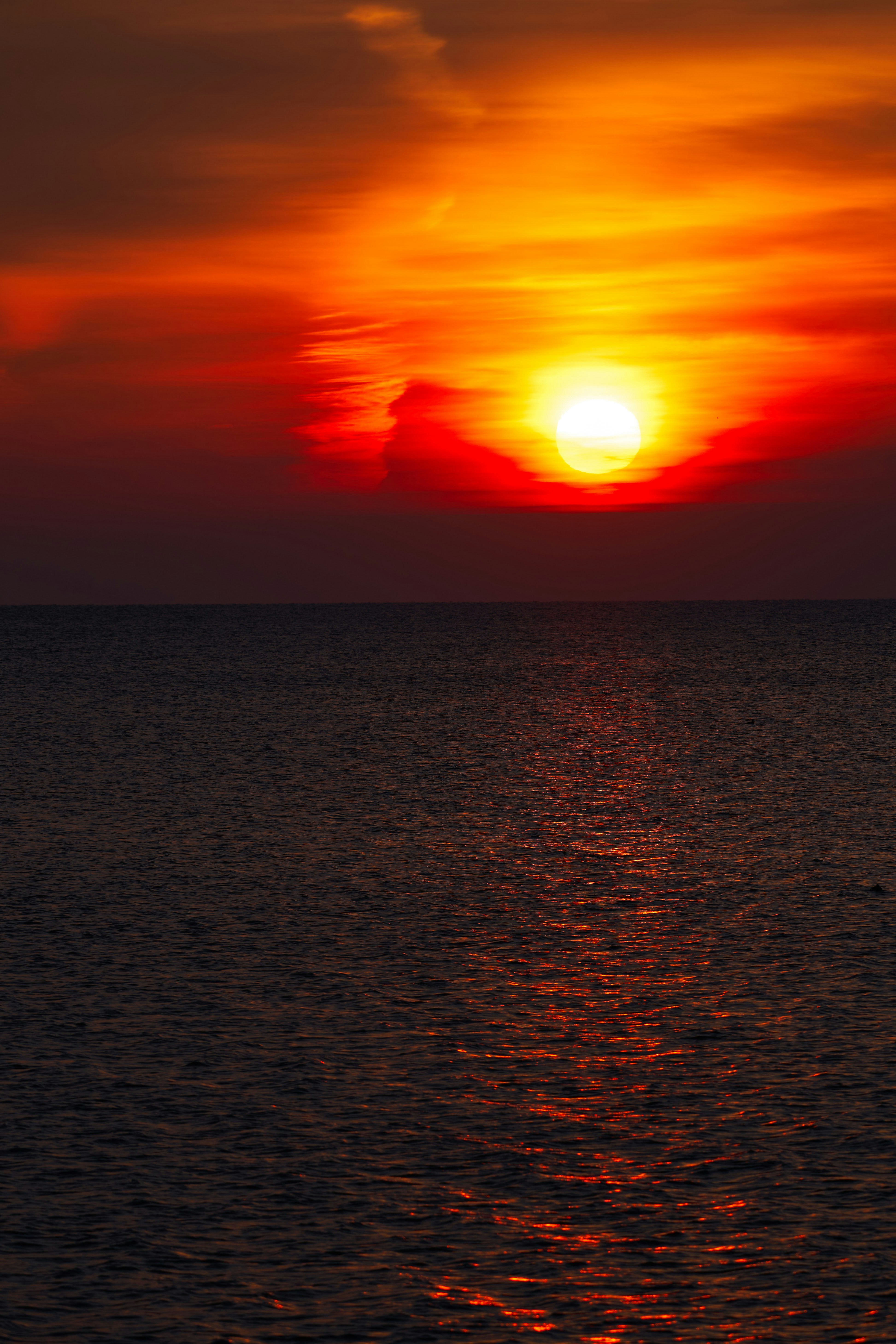 Photo by wolfgang_hasselmann