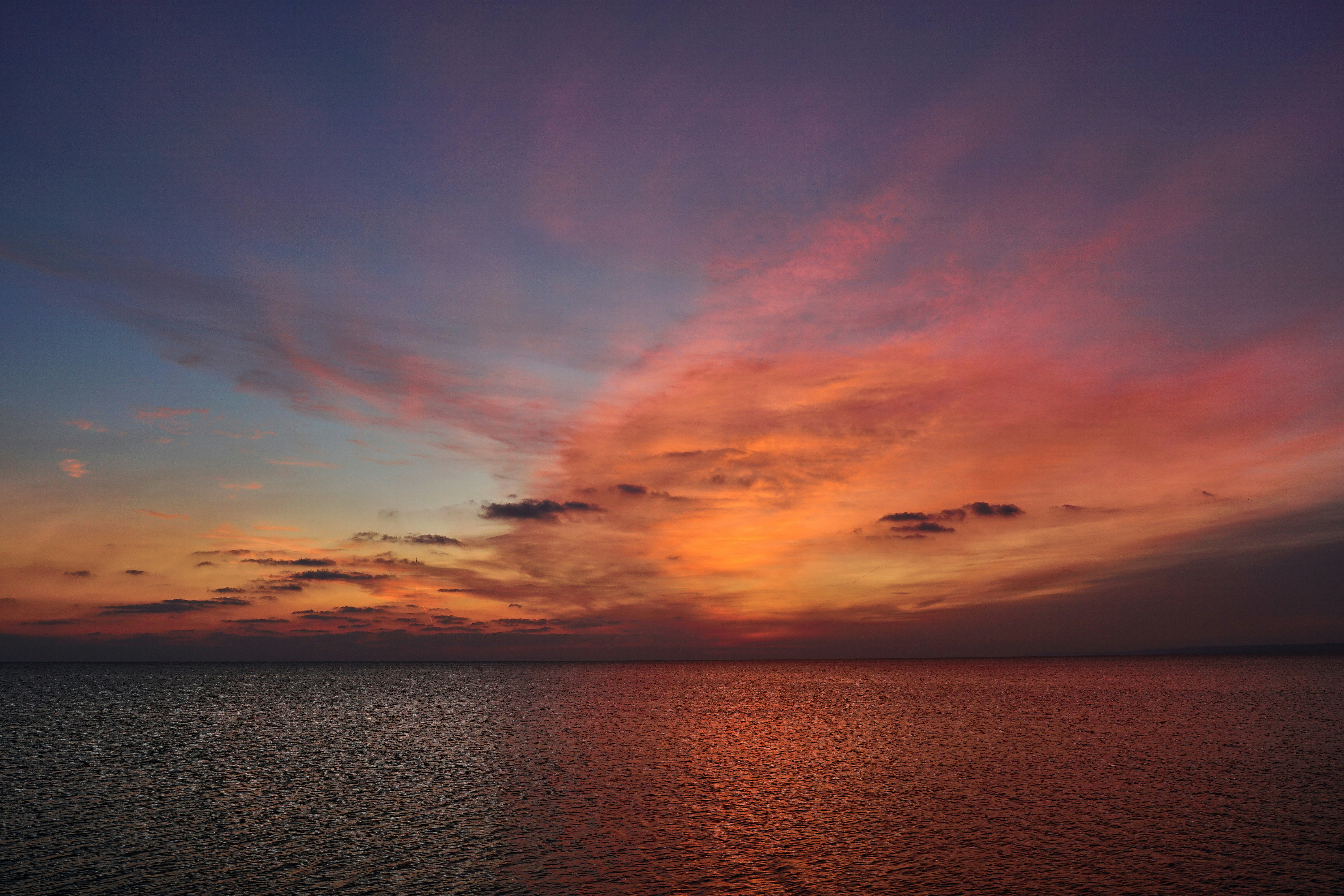 Photo by wolfgang_hasselmann