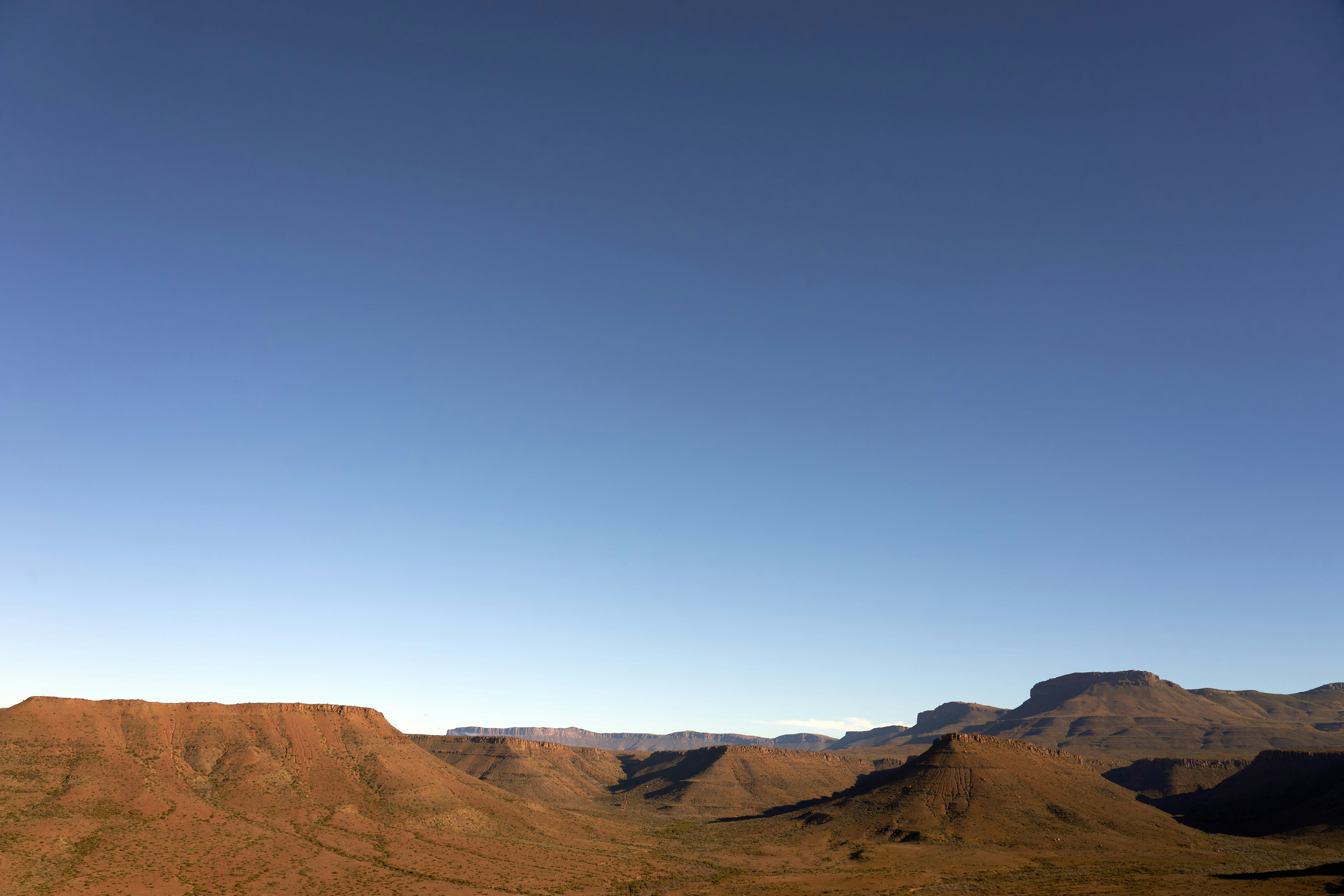 Photo by wolfgang_hasselmann