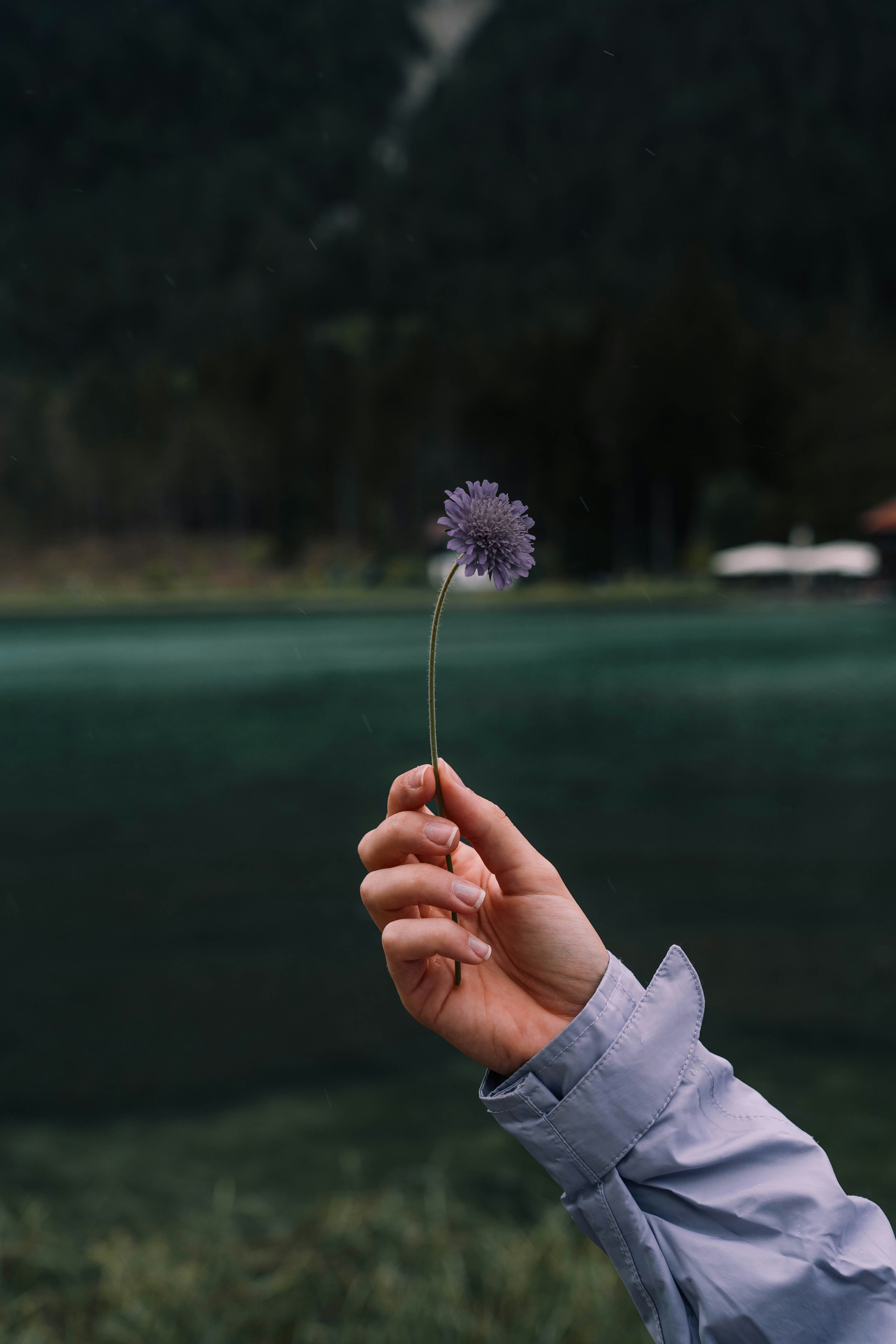 Photo by _michaelsala_