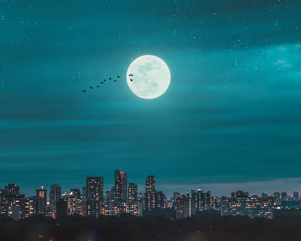 夜間の街のスカイラインに浮かぶ満月