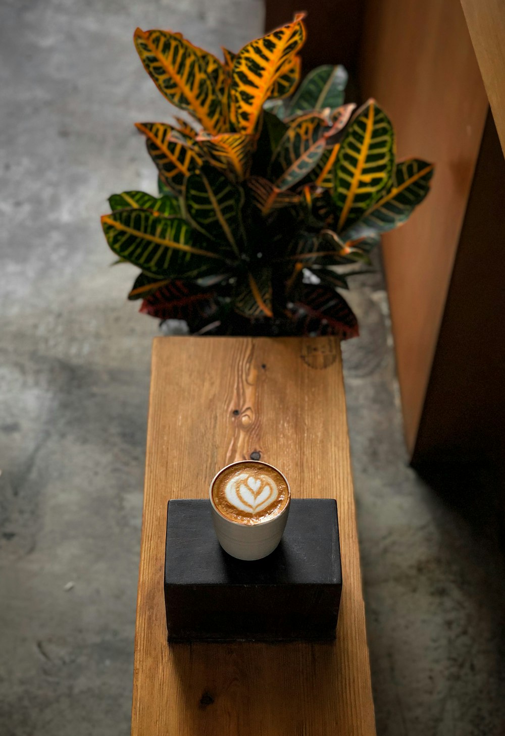 green and brown plant on brown wooden table