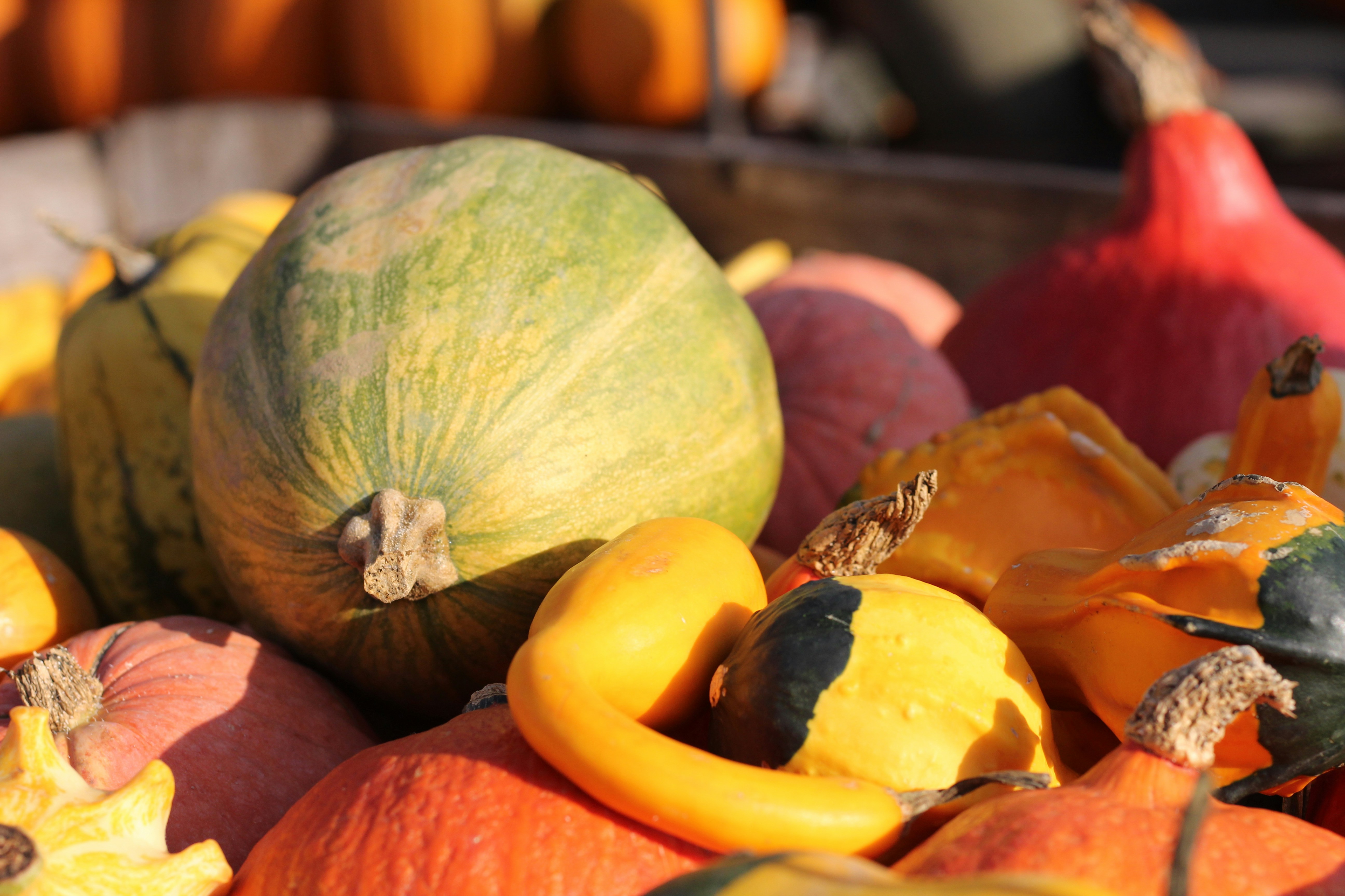 Photo by leaaaaaaaaaaaaaaaa