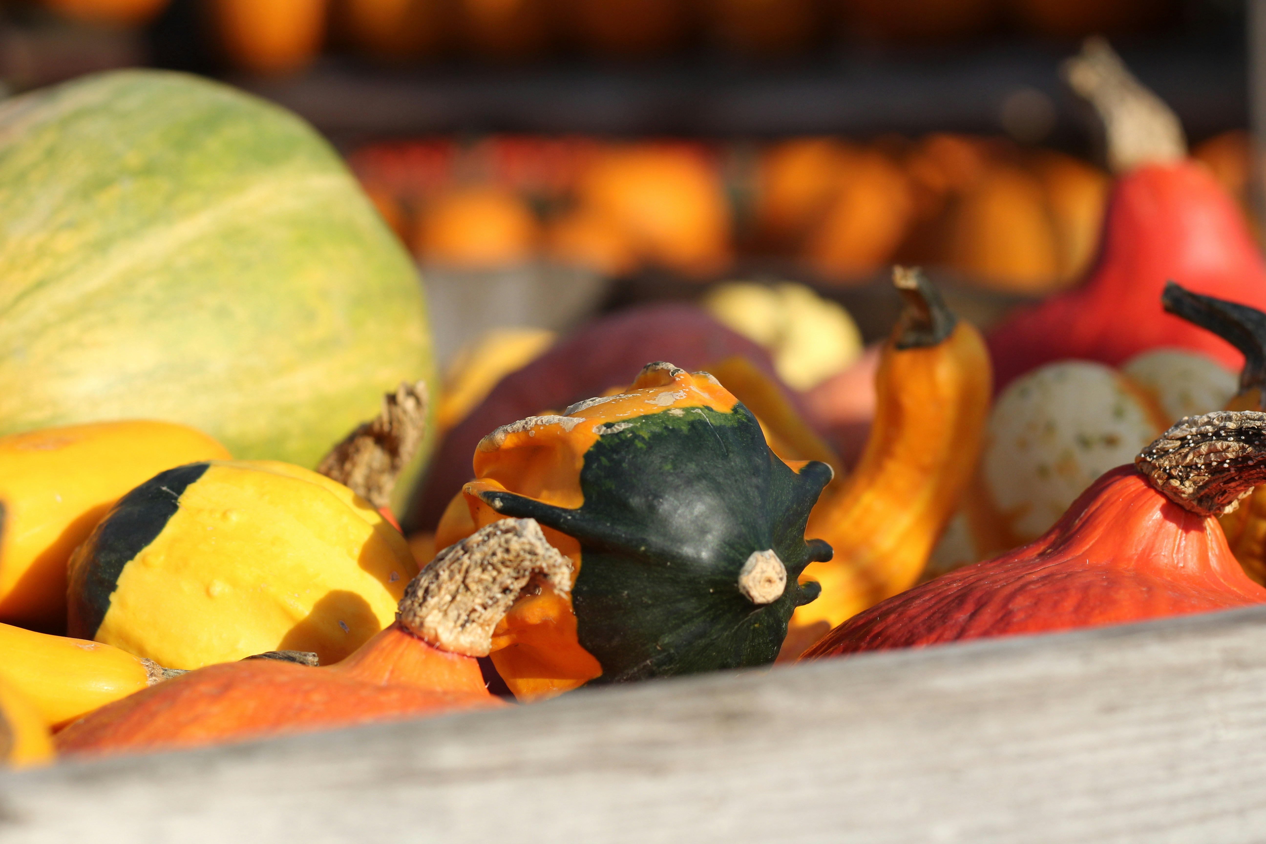 orange carrots and green round fruit
