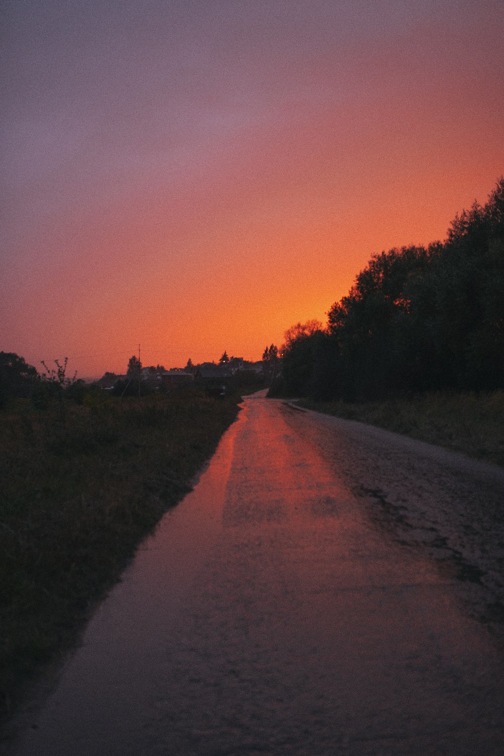 gray road between green trees during sunset