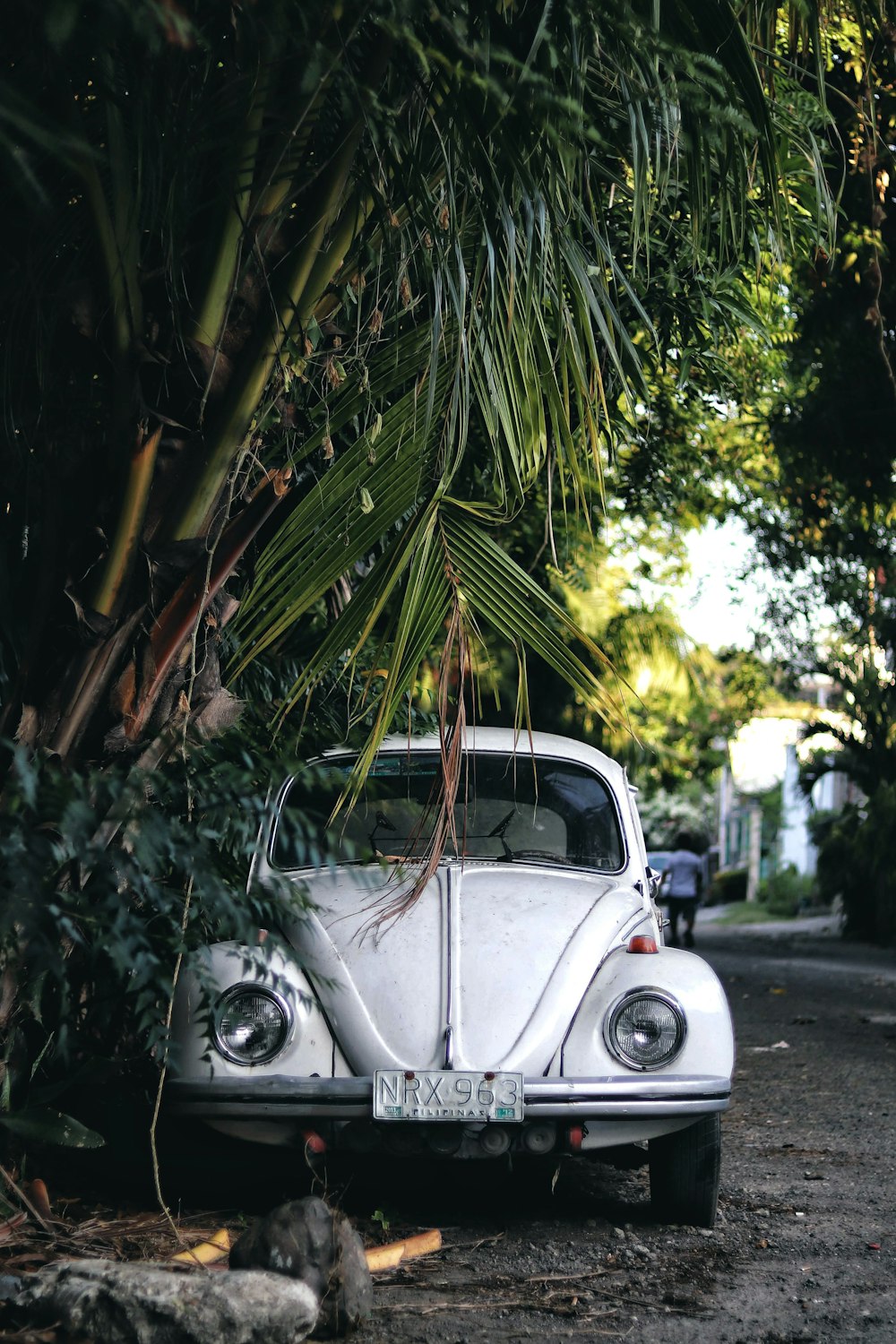 silver volkswagen beetle parked beside palm tree during daytime
