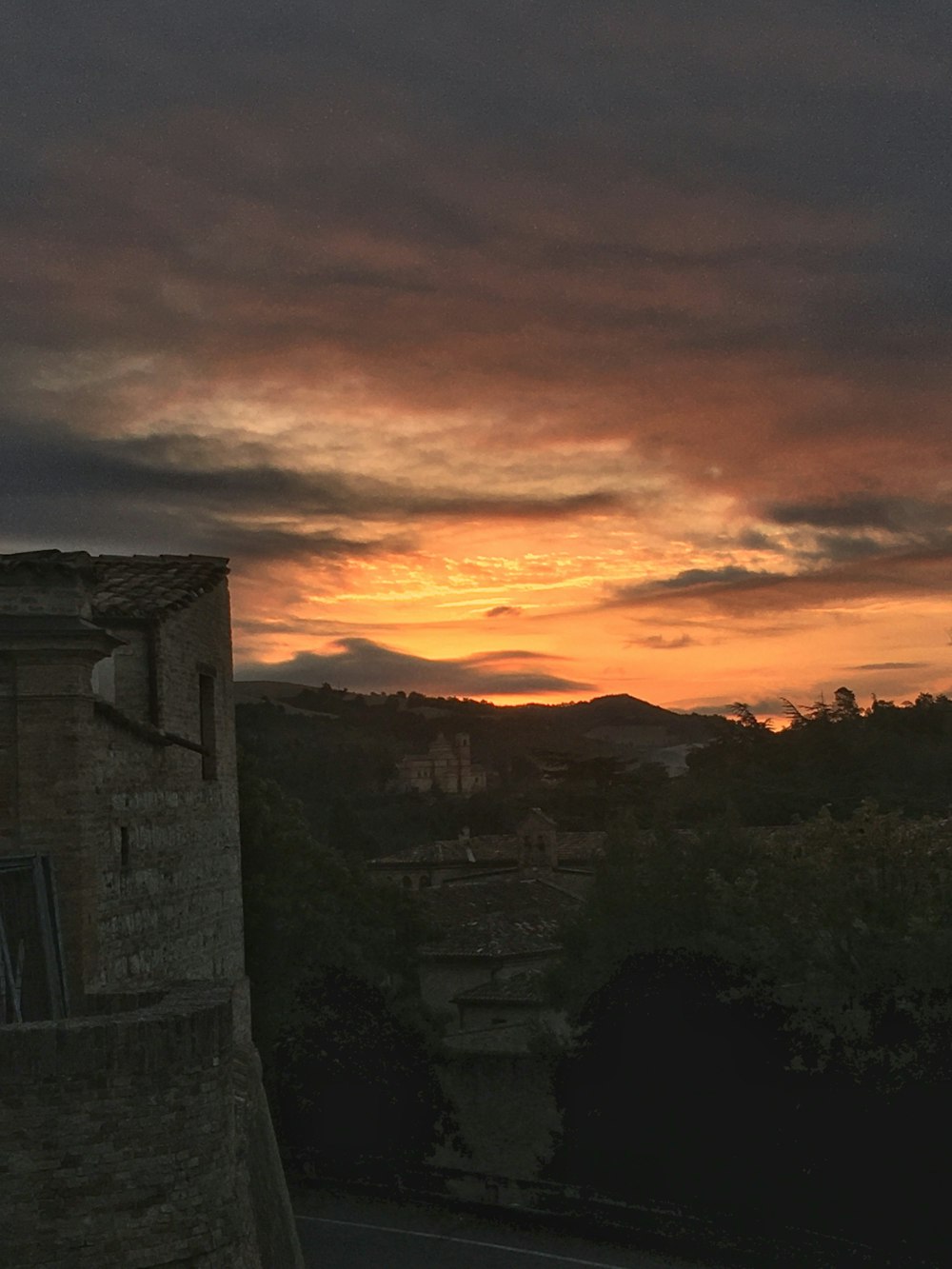 Silueta de árboles durante la puesta de sol