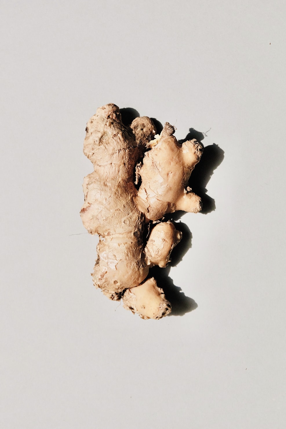 image of ginger root