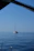 A serene sailboat gliding on calm blue waters under a clear sky.