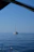 A serene sailboat gliding on calm blue waters under a clear sky.