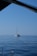 Sailboat gliding smoothly on calm blue waters under a clear sunny sky.