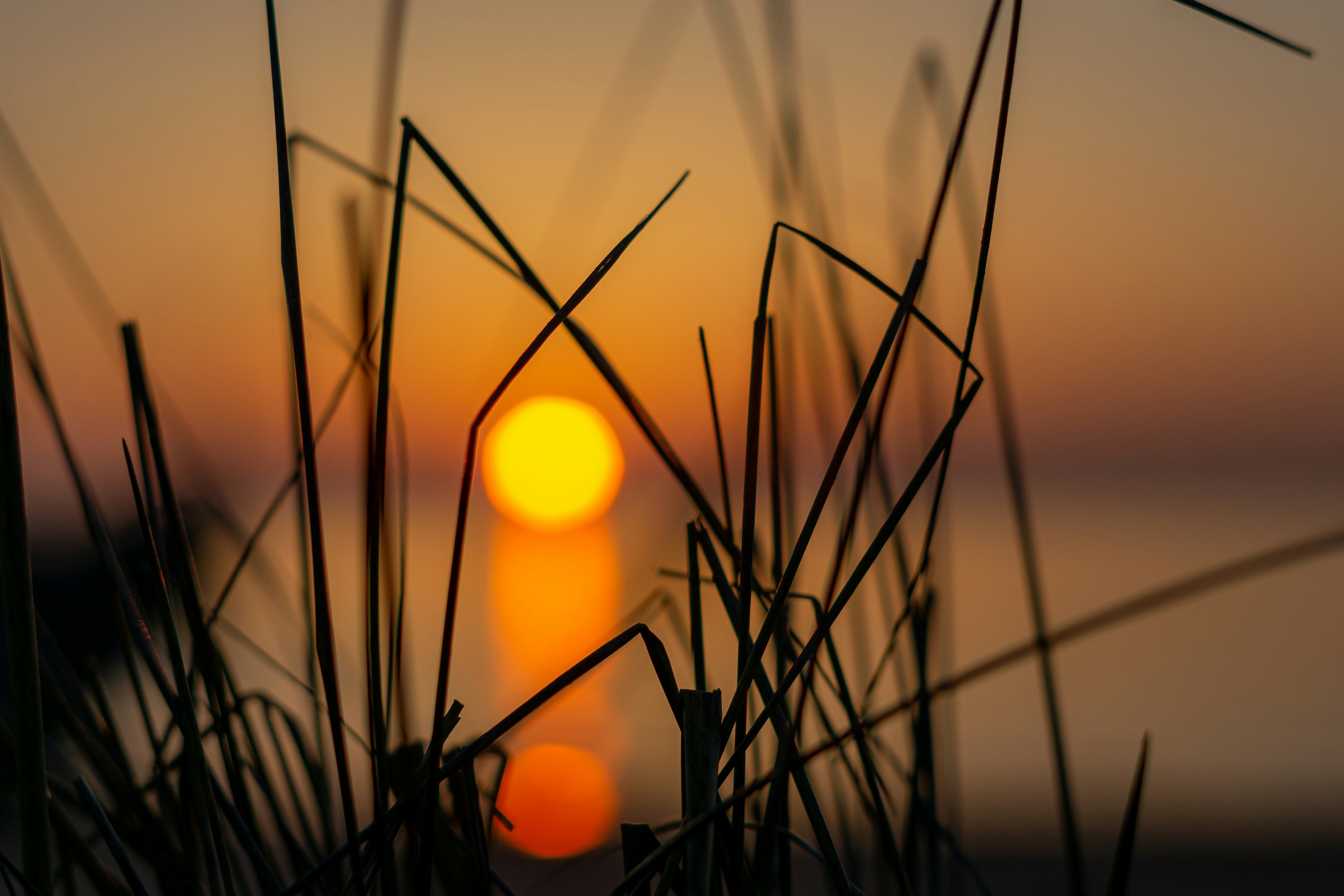 sun on sky over grass field