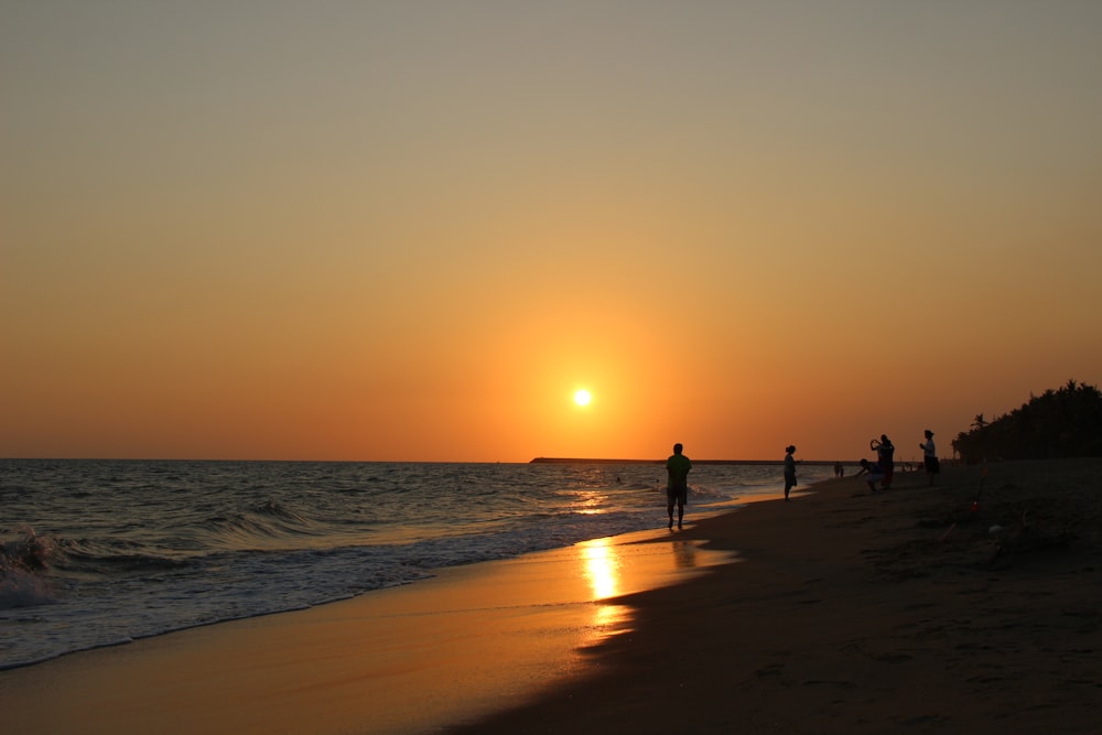 people on beach during sunset