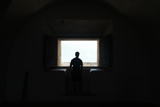 A silhouette of a lone figure watching a storm through a cracked window, the tension palpable.