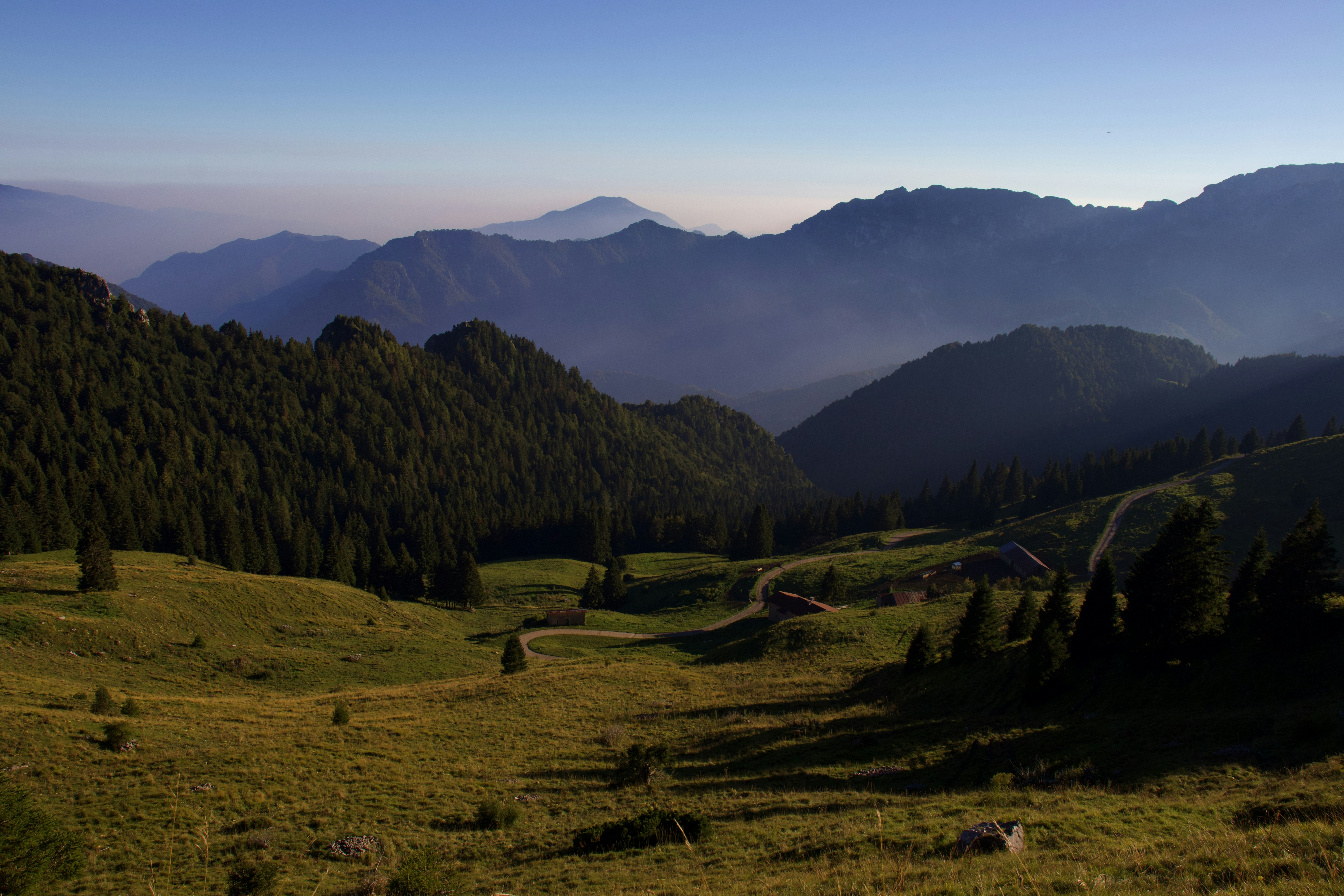 green trees on green grass field near mountain during daytime