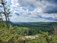 A scenic view of the shooting range surrounded by nature.