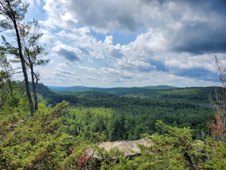A scenic view of the shooting range surrounded by nature.
