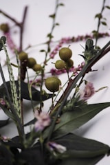 A close-up of a unique plant arrangement.