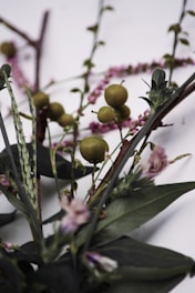 A close-up view of a botanical arrangement featuring various plants. The composition includes small fruits with a green hue, slender purple flowers, and long, pointed green leaves. The background is a muted gray, enhancing the natural colors of the flora.