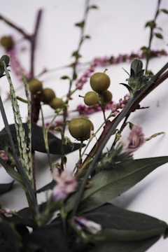 A close-up view of a botanical arrangement featuring various plants. The composition includes small fruits with a green hue, slender purple flowers, and long, pointed green leaves. The background is a muted gray, enhancing the natural colors of the flora.