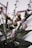 A close-up of a beautifully arranged potted plant composition with rich colors and textures.