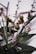 A close-up of a beautifully arranged potted plant composition with rich colors and textures.