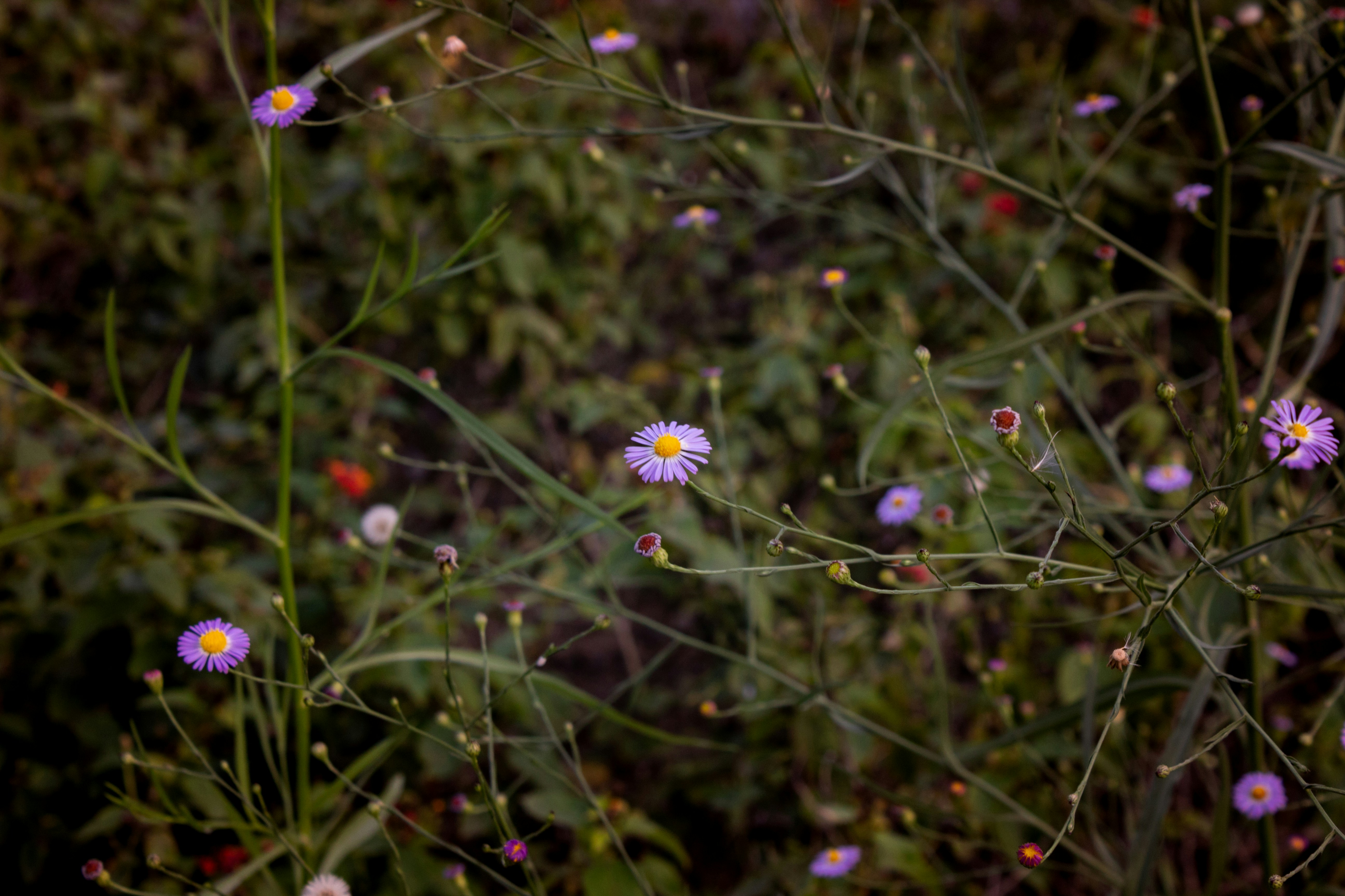 Photo by illianacalderon