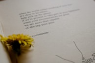 A close-up of hands exchanging favorite books in the community circle.
