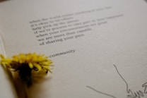 A close-up view of an open book with a yellow flower placed on the pages. The text on the page is partially visible, with the word 'community' clearly shown. The paper has a textured appearance, and there are minimal drawings near the edge.