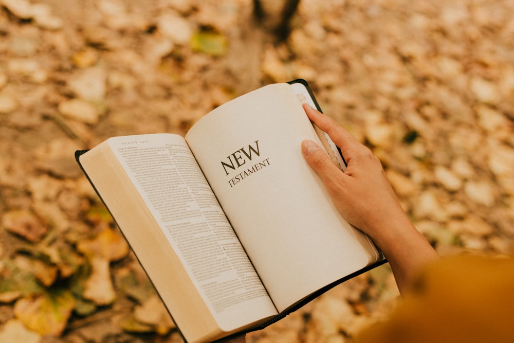 person reading book on brown dried leaves during daytime