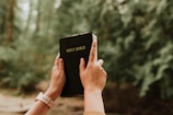 Close-up of hands holding an open Bible with a gentle green plant beside it.